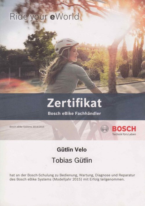 Bosch-2015