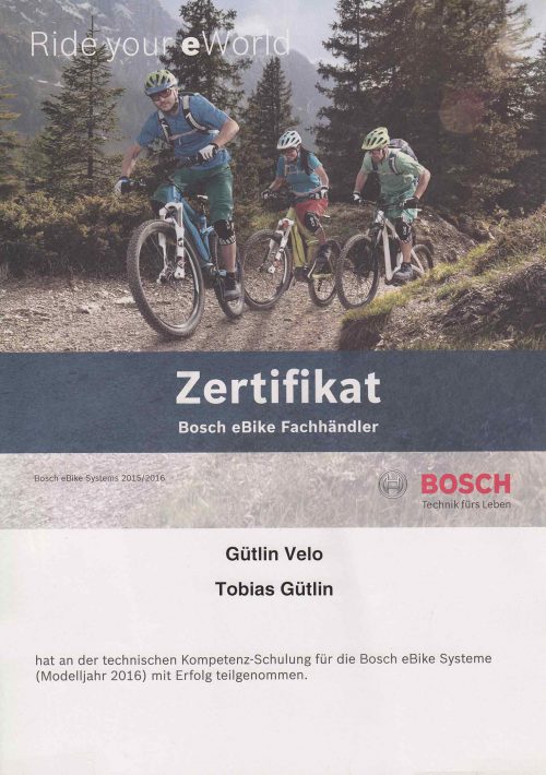 Bosch-2016