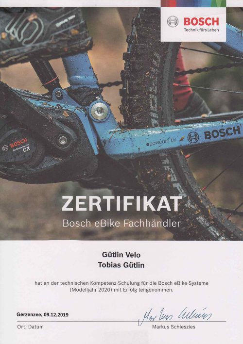 Bosch-2020