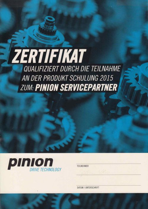 Pinion