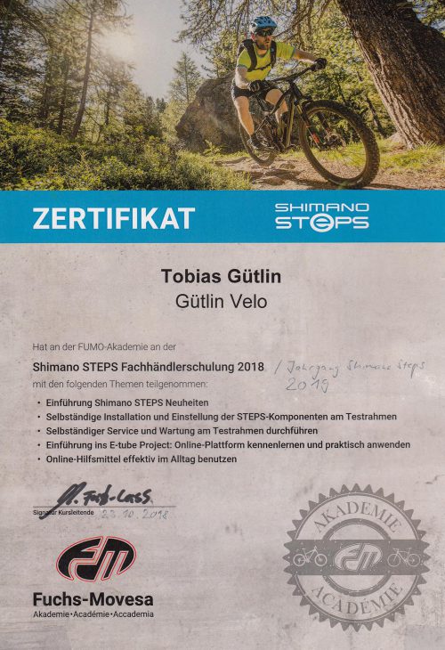Steps 2019